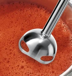 Bosch ErgoMixx MS6CB6110 Staafmixer zwart