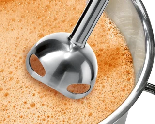 Bosch Ergomixx MS6CB61V1 Staafmixer Zwart