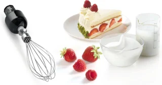 Bosch ErgoMixx MSM67170 Staafmixer zwart