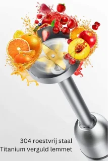DailySupplies Staafmixer Set Zilver Zwart