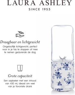 Draagbare Smoothieblender 450ml