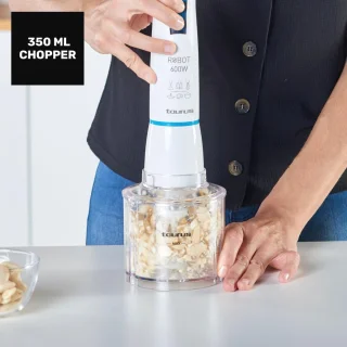 Inox Staafmixerset