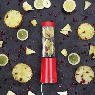 Mini Blender