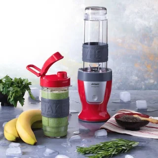Mini Mixer Smoothie Maker
