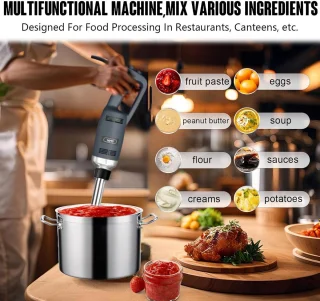 Professionele Staafmixer Horeca