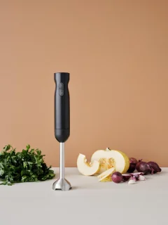 Rig-Tig by Stelton Foodie Staafmixer Zwart