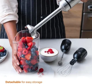 Royalty Line ESTM800 Staafmixer Zwart 800W RVS