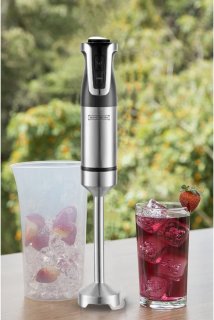 Royalty Line ESTM800 Staafmixer Zwart 800W RVS