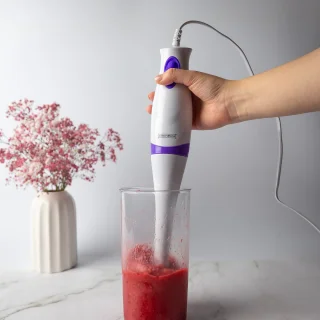 Royalty Line SMS250 3-in-1 staafmixer wit/paars