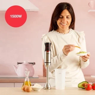 Staafmixer + 1500W