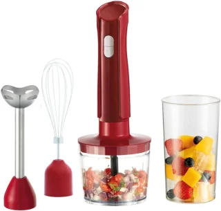 Staafmixer 3-in-1 RVS Set