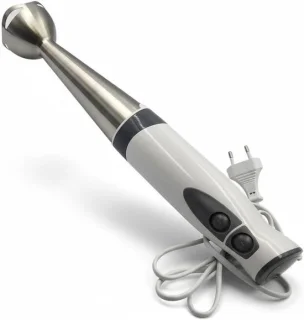 Staafmixer RVS