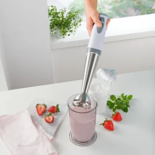 Staafmixer RVS