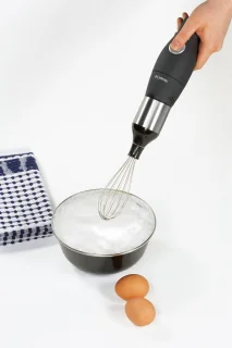 Staafmixer set