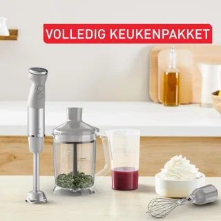 Staafmixer Set RVS
