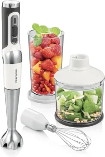 Staafmixer