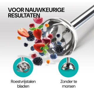 Vitapur Staafmixer 3-in-1 Zwart 800W