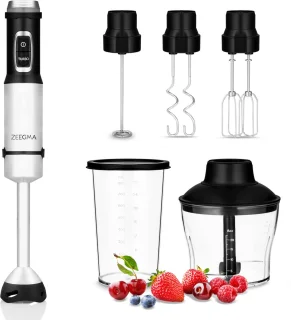 Zeegma Handy Chef Staafmixer 5in1
