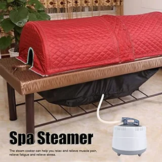 Sauna Steamer Steamer Pot 1000W Sweat Steam Room Fumigation Machine Sweating Steamer Portable Bath Box Household 2.0L for Sauna Room with Steamer Pot (EU plug AC220-240V)