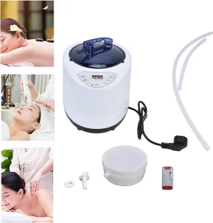 Draagbare Sauna Steamer 1000W 2.5L Home Spa