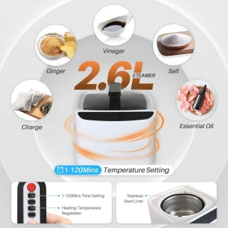 Draagbare stoomsauna 2,6L thuisspa