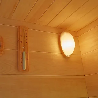 Wat vinden we goed aan de Generiek Sauna-lamp Badkamermodel Zilver