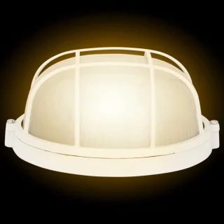 SnelShoppen - sauna lamp LED voor sauna en stoomcabine