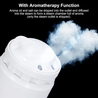 SnelShoppen - Steam Generator, Stoomgenerator voor Stoomdouche met Aromatherapie Functie, G1/2 Mannetjesdraad, Geschikt voor Sauna, Spa en Doucheruimt