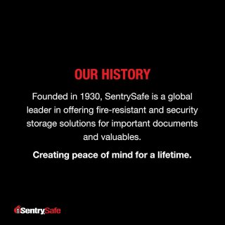 De Brandwerende kluis met sleutelslot - beveiliging - 1 stuk - 0,25 m³ in één oogopslag