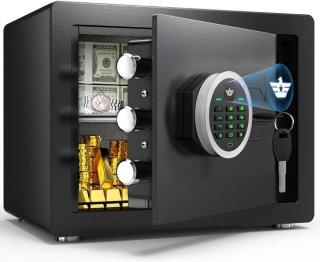 De DailySupplies® Kluis met Vingerafdruk - Brandwerend - Safe met Noodsleutel - Zwart in één oogopslag