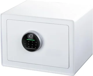 DailySupplies® Kluis met Vingerafdruk - Brandwerend - Safe met Noodsleutel - Wit