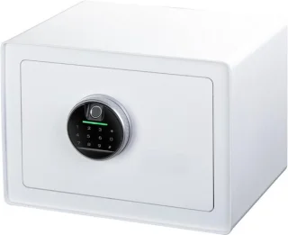 DailySupplies® Kluis met Vingerafdruk - Brandwerend - Safe met Noodsleutel - Wit