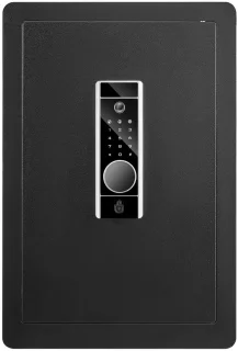 DailySupplies® Kluis met Vingerafdruk - Brandwerend - Safe met Noodsleutel - Zwart