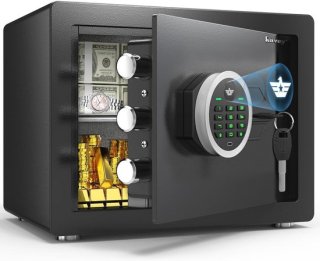 Biometrische Kluis review