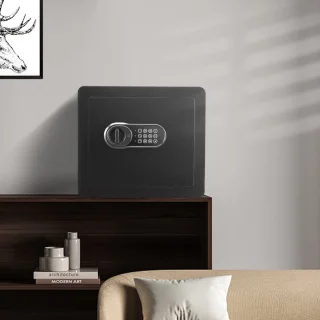 Digitale meubelkluis 34 L