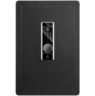 Meubel- en muurkluis 62 L