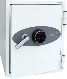 Phoenix Data Combi DS2501F kluis