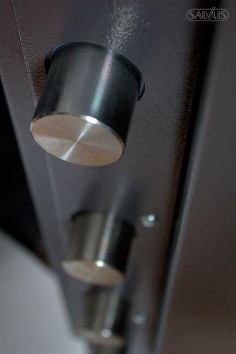 Wat vinden we goed aan de Salvus Rome 8 kluis sleutelslot