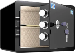 De Veiligheidskluis 25x35x25 cm Zwart in één oogopslag