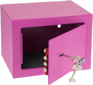 VIN® Geldkluis 23x17x17 cm - Roze