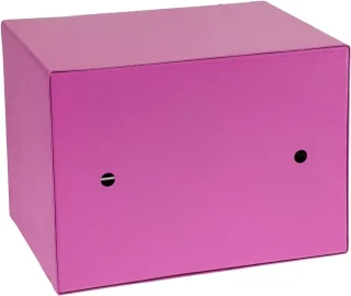 VIN® Geldkluis 23x17x17 cm - Roze