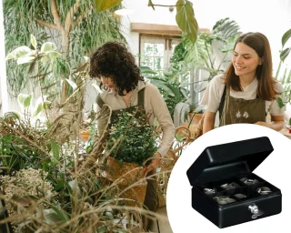 Yale Geldkluis YCB/080/BB2 met sleutel klein formaat
