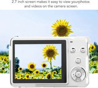 Digitale camcorder zilver