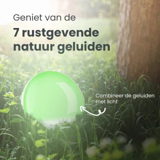 ProSova Wake Up Light met App Pro - Slaaptrainer - Wekkerradio - Nachtlamp - Dubbele Wektijd - 7 Kleuren - USB aansluiting - Google Home - + Gratis (E)-Slaapboek