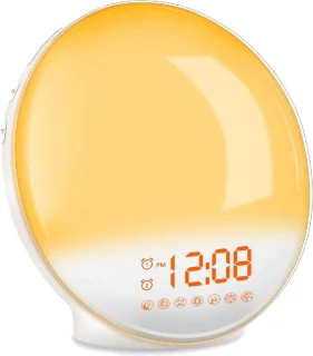 DistinQ Wake-Up Light Wekkerradio Wit