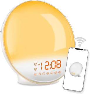 DistinQ Wake-Up Light Wifi Wekkerradio Dual Alarm USB
