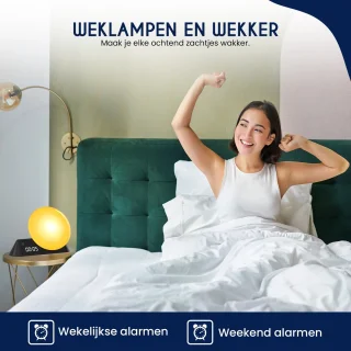 DreamSoothe Smart Wake Up Light Zwart