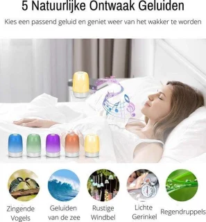 Horazio Wake-Up Light Wekker LED Nachtlamp