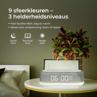 Conclusie