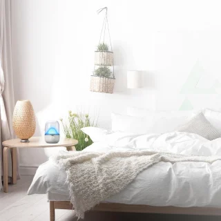Terraillon Homni Smart Wake Up Light